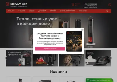 Снимок главной страницы brayer.ru