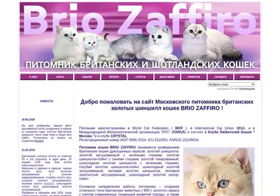 Снимок главной страницы briozaffiro.ru