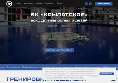 Снимок главной страницы bkkryl.ru