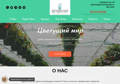 Снимок главной страницы blooming-world.ru