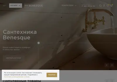 Снимок главной страницы benesque.ru