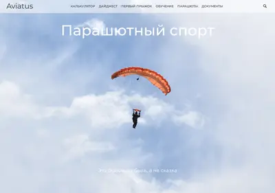 Снимок главной страницы aviatus.ru