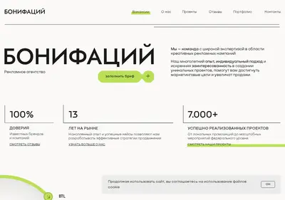 Снимок главной страницы bonifaciy74.ru