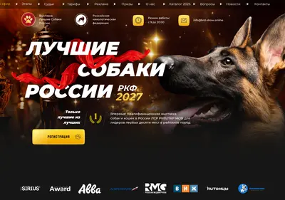 Снимок главной страницы brd-show.ru