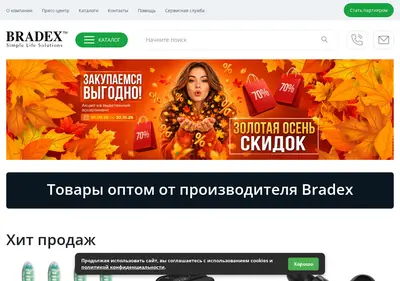 Снимок главной страницы bradex.ru
