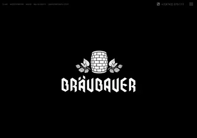 Снимок главной страницы braubauer.ru
