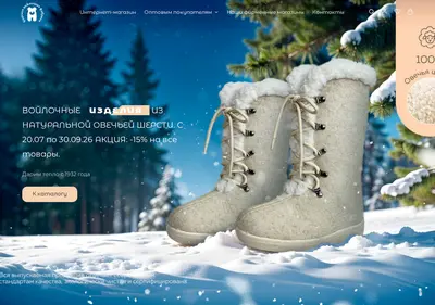 Снимок главной страницы borvf.ru