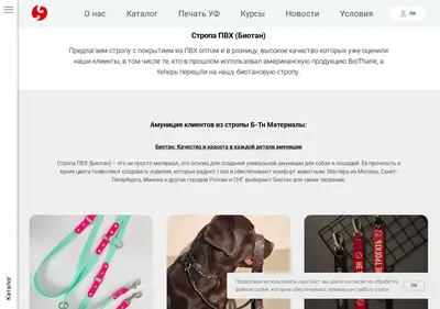 Снимок главной страницы b-th.ru