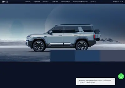 Снимок главной страницы byd-leopard.ru