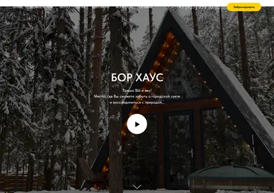 Снимок главной страницы borglamp.ru