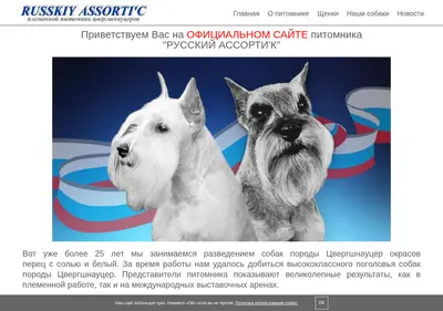 Снимок главной страницы assortic.ru