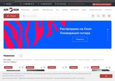 Снимок главной страницы air-gun.ru