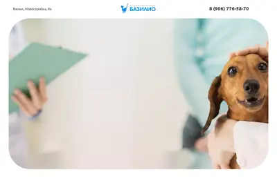 Снимок главной страницы bazilio-vet.ru