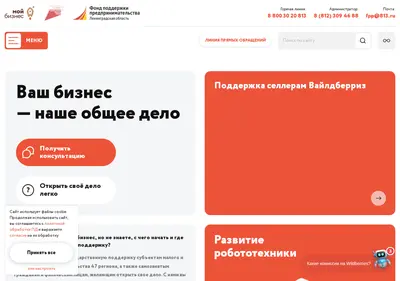 Снимок главной страницы 813.ru