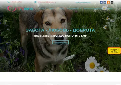 Снимок главной страницы aliveright.ru