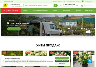 Снимок главной страницы alleyann.ru