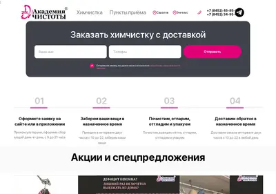 Снимок главной страницы academia-chistoti.ru