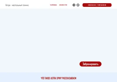 Снимок главной страницы astra-spin.ru
