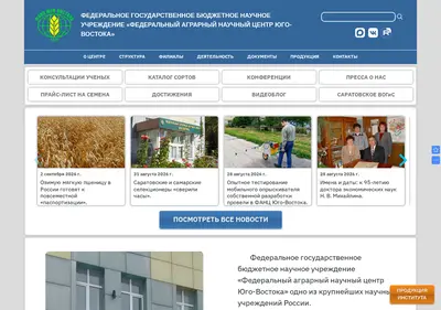 Снимок главной страницы arisersar.ru