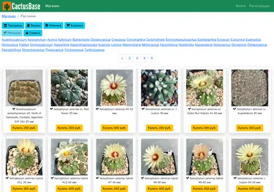 Снимок главной страницы cactusbase.ru