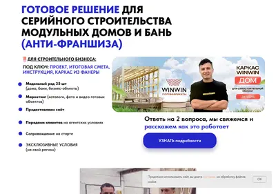 Снимок главной страницы antifranchise-winwin.ru