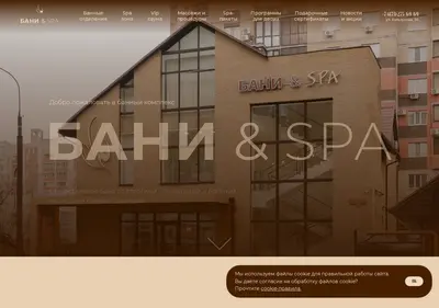 Снимок главной страницы banispa.ru