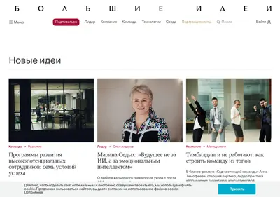 Снимок главной страницы big-i.ru