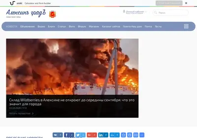 Снимок главной страницы alekcin.ru