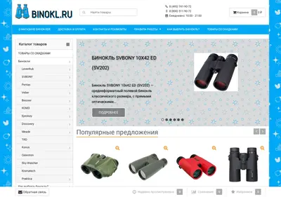 Снимок главной страницы binokl.ru