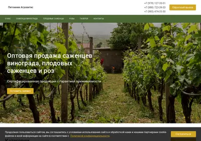 Снимок главной страницы agrovitispitomnik.ru