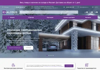 Снимок главной страницы aledus.ru