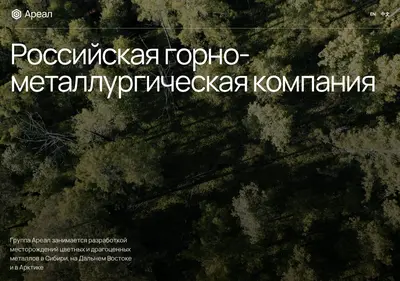 Снимок главной страницы areal.ru