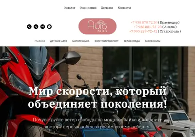 Снимок главной страницы avto-kids.ru