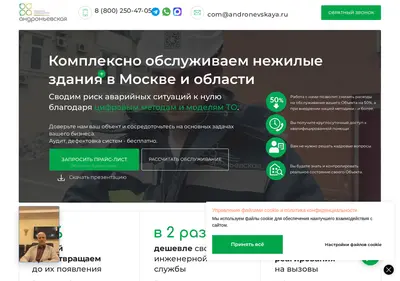 Снимок главной страницы andronevskaya.ru