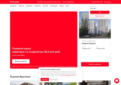 Снимок главной страницы brusnika.ru