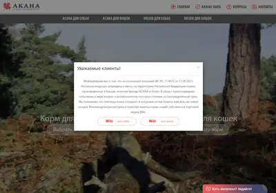 Снимок главной страницы acana.ru