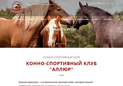 Снимок главной страницы allur98.ru