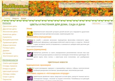 Снимок главной страницы bookflowers.ru