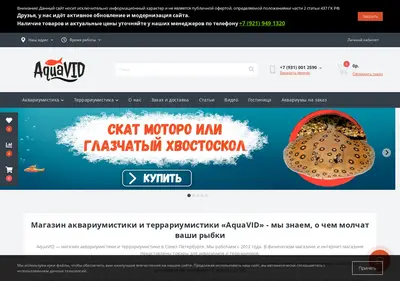 Снимок главной страницы aquavid.ru