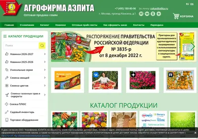Снимок главной страницы ailita.ru