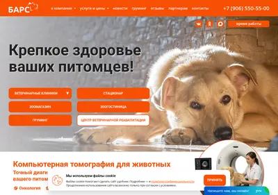 Снимок главной страницы bars-vet.ru