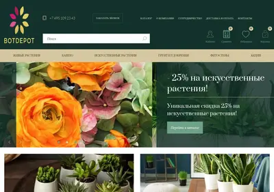 Снимок главной страницы botdepot.ru