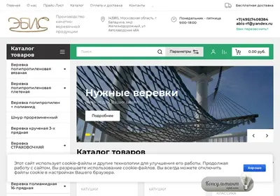 Снимок главной страницы abis-rf.ru