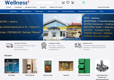 Снимок главной страницы bsk-wellness.ru