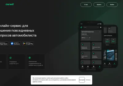 Снимок главной страницы c-wit.ru