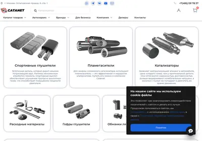 Снимок главной страницы catanet.ru
