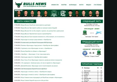 Снимок главной страницы bulls-news.ru