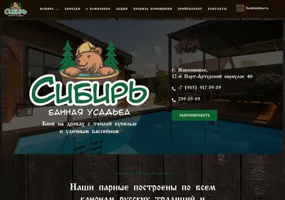 Снимок главной страницы banya-sibir.ru