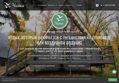 Снимок главной страницы chaika63.ru