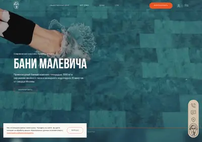 Снимок главной страницы banimalevicha.ru